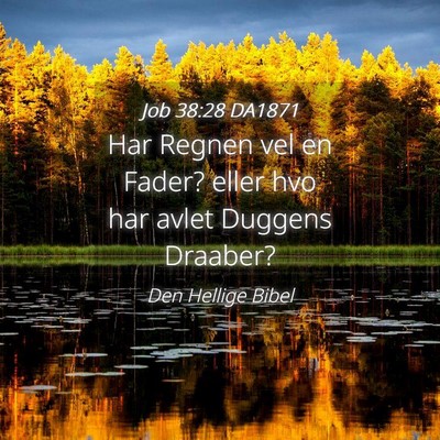Picture 04 - Job 38:28 DA1871 - Har Regnen vel en Fader? eller hvo har avlet - Bible Verse Picture