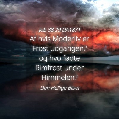 Picture 04 - Job 38:29 DA1871 - Af hvis Moderliv er Frost udgangen? og hvo fødte - Bible Verse Picture