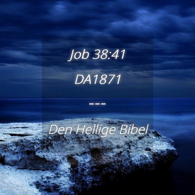 Picture 04 - Job 38:41 DA1871 -  - Bible Verse Picture