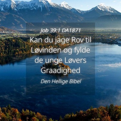Picture 04 - Job 39:1 DA1871 - Kan du jage Rov til Løvinden og fylde de unge - Bible Verse Picture