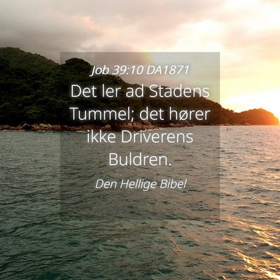 Picture 04 - Job 39:10 DA1871 - Det ler ad Stadens Tummel; det hører ikke - Bible Verse Picture