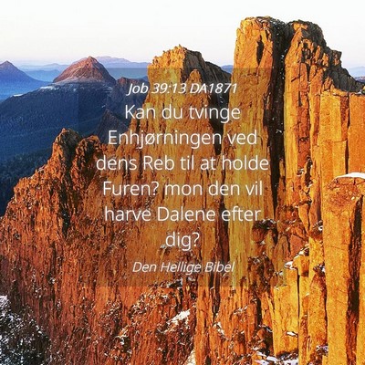 Picture 04 - Job 39:13 DA1871 - Kan du tvinge Enhjørningen ved dens Reb til at - Bible Verse Picture