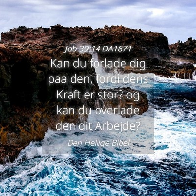 Picture 04 - Job 39:14 DA1871 - Kan du forlade dig paa den, fordi dens Kraft er - Bible Verse Picture
