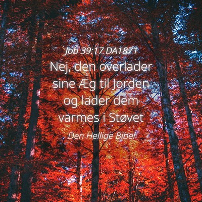 Picture 04 - Job 39:17 DA1871 - Nej, den overlader sine Æg til Jorden og lader - Bible Verse Picture