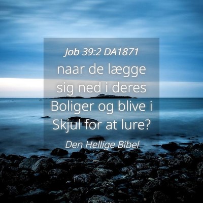 Picture 04 - Job 39:2 DA1871 - naar de lægge sig ned i deres Boliger og blive i - Bible Verse Picture