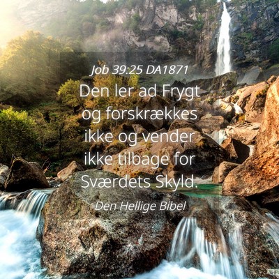 Picture 04 - Job 39:25 DA1871 - Den ler ad Frygt og forskrækkes ikke og vender - Bible Verse Picture