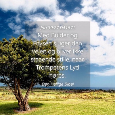 Picture 04 - Job 39:27 DA1871 - Med Bulder og Fnysen sluger den Vejen og bliver - Bible Verse Picture