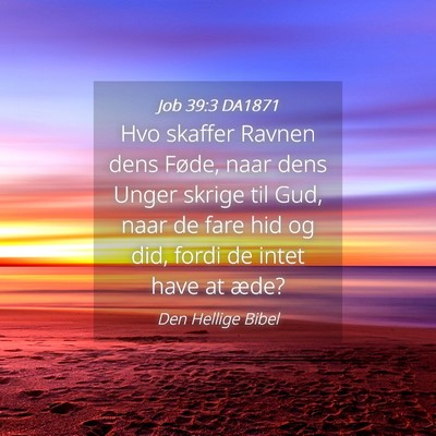 Picture 04 - Job 39:3 DA1871 - Hvo skaffer Ravnen dens Føde, naar dens Unger - Bible Verse Picture