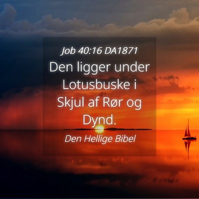 Picture 04 - Job 40:16 DA1871 - Den ligger under Lotusbuske i Skjul af Rør og - Bible Verse Picture
