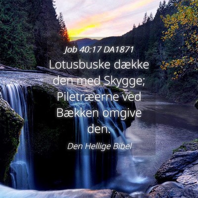 Picture 04 - Job 40:17 DA1871 - Lotusbuske dække den med Skygge; Piletræerne - Bible Verse Picture