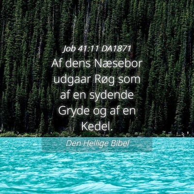 Picture 04 - Job 41:11 DA1871 - Af dens Næsebor udgaar Røg som af en sydende - Bible Verse Picture