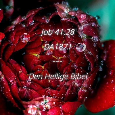 Picture 04 - Job 41:28 DA1871 -  - Bible Verse Picture