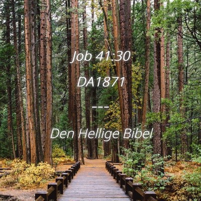 Picture 04 - Job 41:30 DA1871 -  - Bible Verse Picture