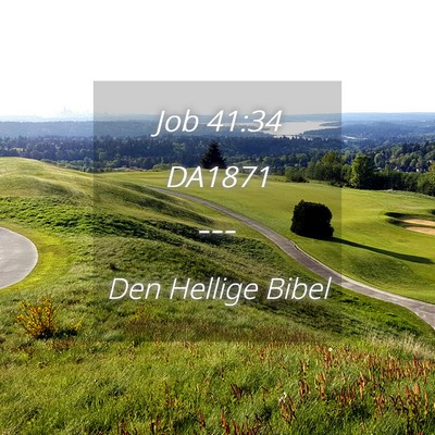 Picture 04 - Job 41:34 DA1871 -  - Bible Verse Picture