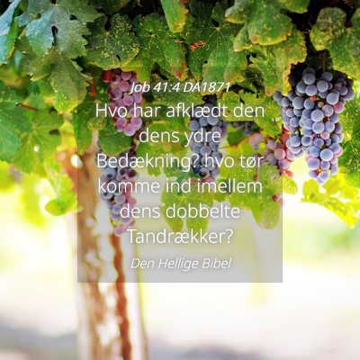 Picture 04 - Job 41:4 DA1871 - Hvo har afklædt den dens ydre Bedækning? hvo - Bible Verse Picture