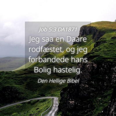 Picture 04 - Job 5:3 DA1871 - Jeg saa en Daare rodfæstet, og jeg forbandede - Bible Verse Picture