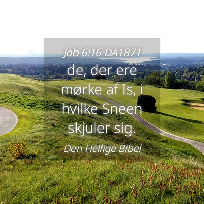 Picture 04 - Job 6:16 DA1871 - de, der ere mørke af Is, i hvilke Sneen skjuler - Bible Verse Picture