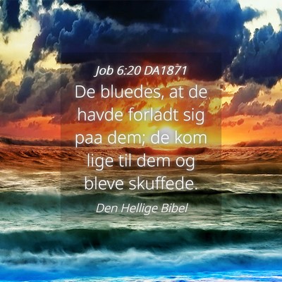 Picture 04 - Job 6:20 DA1871 - De bluedes, at de havde forladt sig paa dem; de - Bible Verse Picture