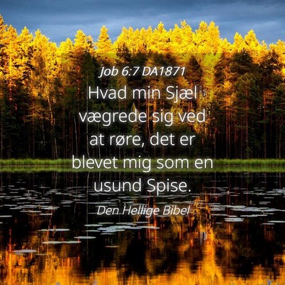 Picture 04 - Job 6:7 DA1871 - Hvad min Sjæl vægrede sig ved at røre, det er - Bible Verse Picture