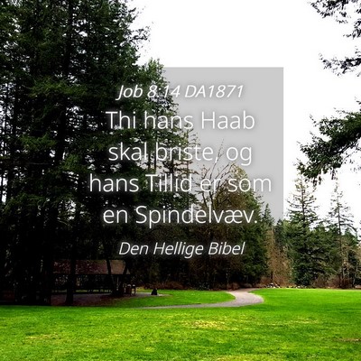 Picture 04 - Job 8:14 DA1871 - Thi hans Haab skal briste, og hans Tillid er som - Bible Verse Picture