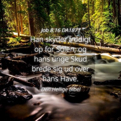 Picture 04 - Job 8:16 DA1871 - Han skyder frodigt op for Solen; og hans unge - Bible Verse Picture