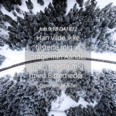 Picture 04 - Job 9:18 DA1871 - Han vilde ikke tilstede mig at drage min Aande, - Bible Verse Picture