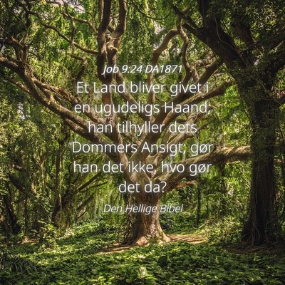Picture 04 - Job 9:24 DA1871 - Et Land bliver givet i en ugudeligs Haand; han - Bible Verse Picture