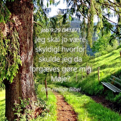 Picture 04 - Job 9:29 DA1871 - Jeg skal jo være skyldig! hvorfor skulde jeg da - Bible Verse Picture