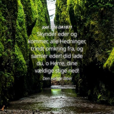 Picture 04 - Joel 3:16 DA1871 - Skynder eder og kommer, alle Hedninger, trindt - Bible Verse Picture