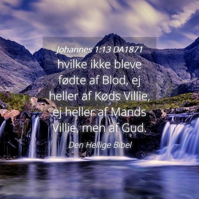 Picture 04 - Johannes 1:13 DA1871 - hvilke ikke bleve fødte af Blod, ej heller af - Bible Verse Picture