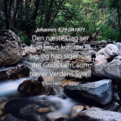 Picture 04 - Johannes 1:29 DA1871 - Den næste Dag ser han Jesus komme til sig, og - Bible Verse Picture