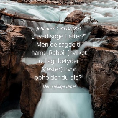 Picture 04 - Johannes 1:39 DA1871 - „Hvad søge I efter?“ Men de sagde til ham: - Bible Verse Picture