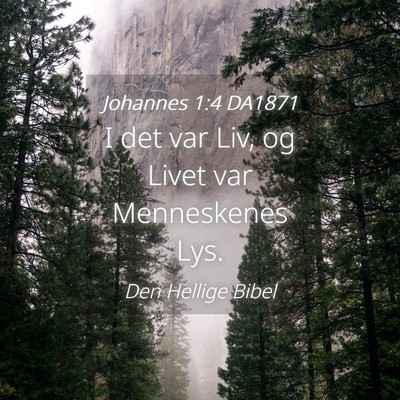 Picture 04 - Johannes 1:4 DA1871 - I det var Liv, og Livet var Menneskenes - Bible Verse Picture