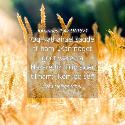 Picture 04 - Johannes 1:47 DA1871 - Og Nathanael sagde til ham: „Kan noget godt - Bible Verse Picture