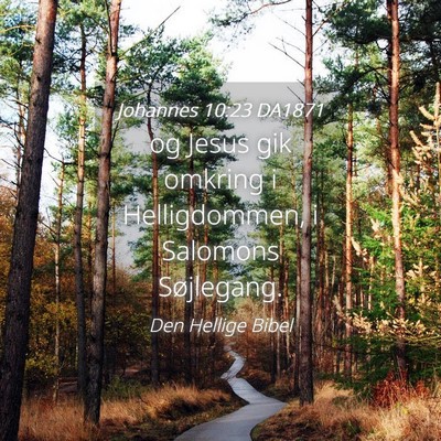 Picture 04 - Johannes 10:23 DA1871 - og Jesus gik omkring i Helligdommen, i Salomons - Bible Verse Picture