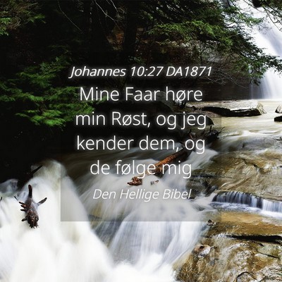 Picture 04 - Johannes 10:27 DA1871 - Mine Faar høre min Røst, og jeg kender dem, og - Bible Verse Picture