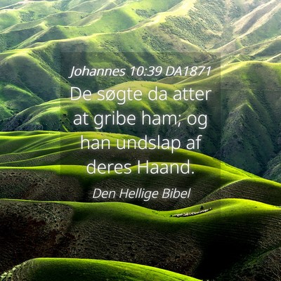 Picture 04 - Johannes 10:39 DA1871 - De søgte da atter at gribe ham; og han undslap - Bible Verse Picture