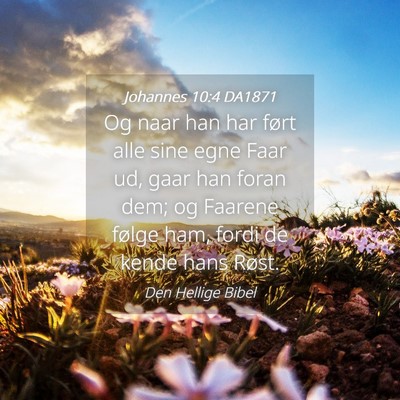 Picture 04 - Johannes 10:4 DA1871 - Og naar han har ført alle sine egne Faar ud, - Bible Verse Picture
