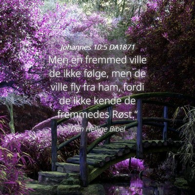 Picture 04 - Johannes 10:5 DA1871 - Men en fremmed ville de ikke følge, men de ville - Bible Verse Picture