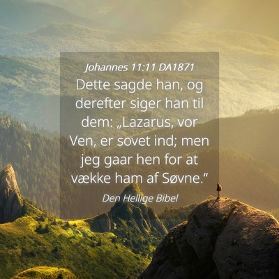 Picture 04 - Johannes 11:11 DA1871 - Dette sagde han, og derefter siger han til dem: - Bible Verse Picture