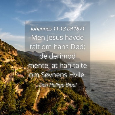 Picture 04 - Johannes 11:13 DA1871 - Men Jesus havde talt om hans Død; de derimod - Bible Verse Picture