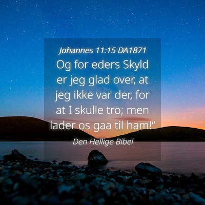 Picture 04 - Johannes 11:15 DA1871 - Og for eders Skyld er jeg glad over, at jeg ikke - Bible Verse Picture