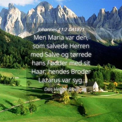 Picture 04 - Johannes 11:2 DA1871 - Men Maria var den, som salvede Herren med Salve - Bible Verse Picture