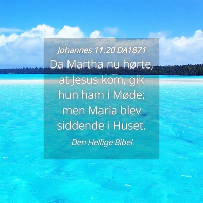Picture 04 - Johannes 11:20 DA1871 - Da Martha nu hørte, at Jesus kom, gik hun ham i - Bible Verse Picture