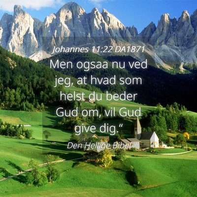 Picture 04 - Johannes 11:22 DA1871 - Men ogsaa nu ved jeg, at hvad som helst du beder - Bible Verse Picture