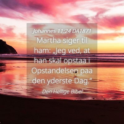 Picture 04 - Johannes 11:24 DA1871 - Martha siger til ham: „Jeg ved, at han skal - Bible Verse Picture