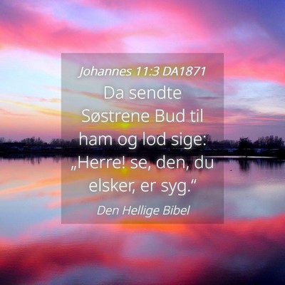Picture 04 - Johannes 11:3 DA1871 - Da sendte Søstrene Bud til ham og lod sige: - Bible Verse Picture