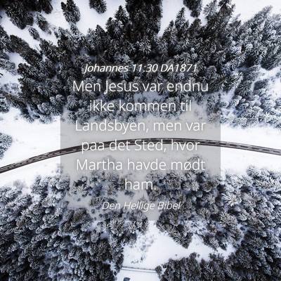 Picture 04 - Johannes 11:30 DA1871 - Men Jesus var endnu ikke kommen til Landsbyen, - Bible Verse Picture