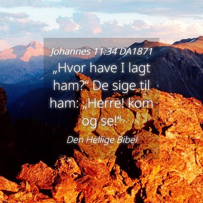 Picture 04 - Johannes 11:34 DA1871 - „Hvor have I lagt ham?“ De sige til ham: - Bible Verse Picture