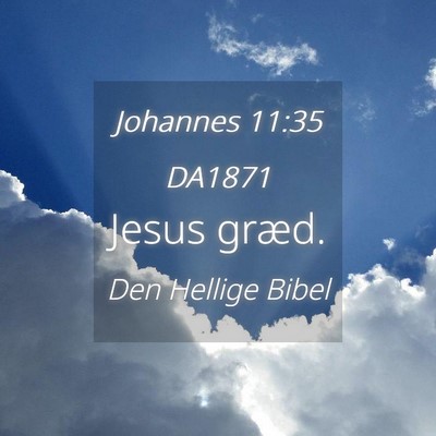 Picture 04 - Johannes 11:35 DA1871 - Jesus - Bible Verse Picture